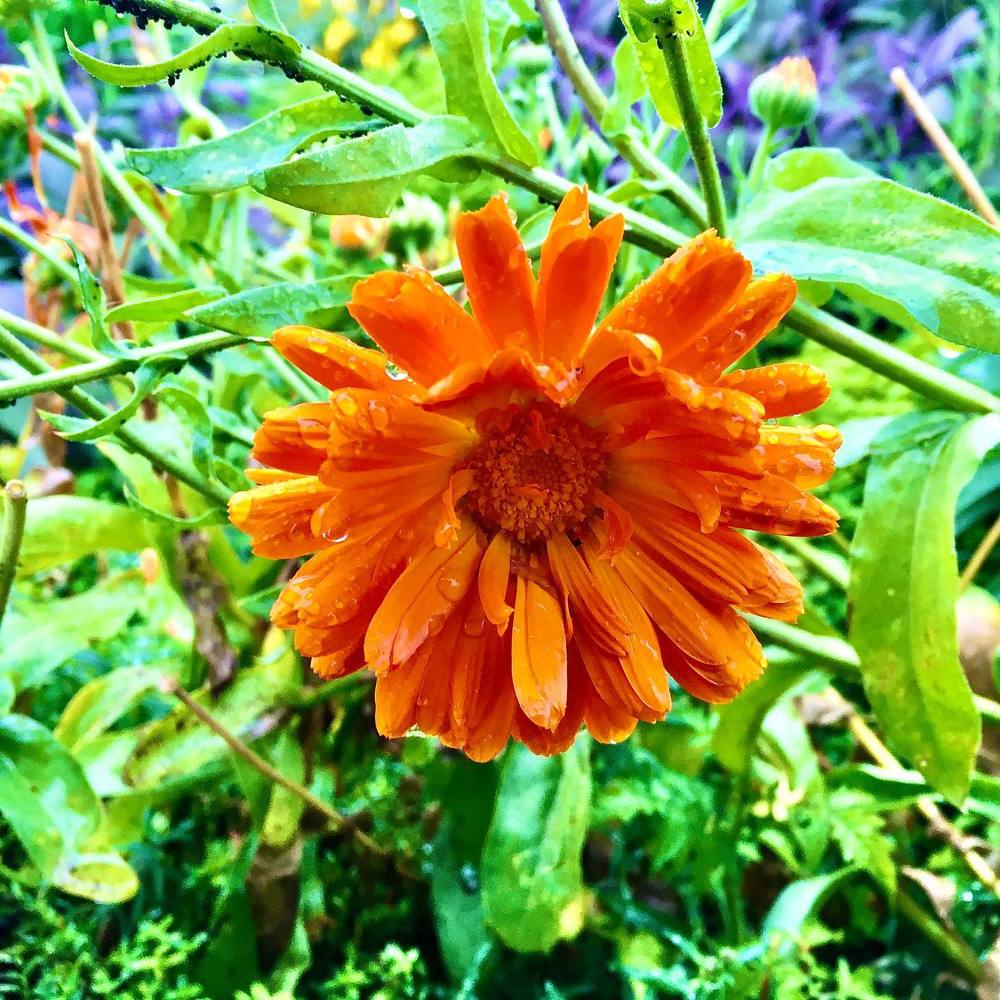 Photograph by Viktoriia Shtefanesa