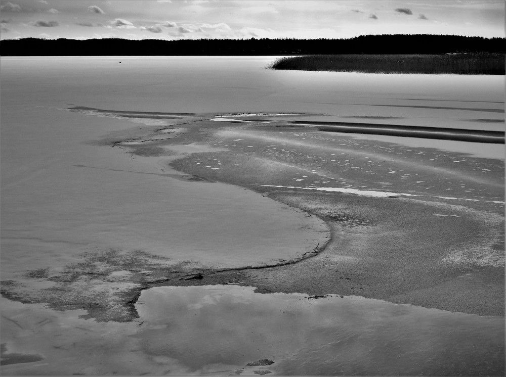 Фотография автора Tiia Vissak