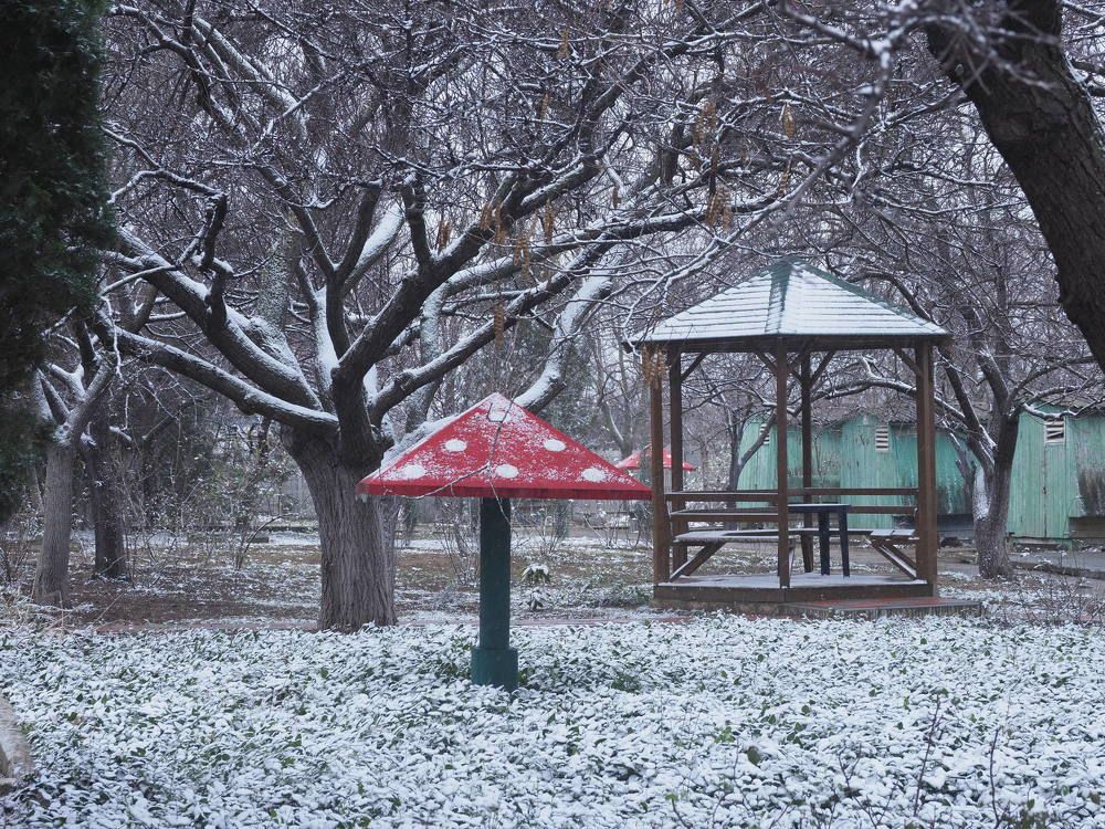 Photograph by Сергей Борисов