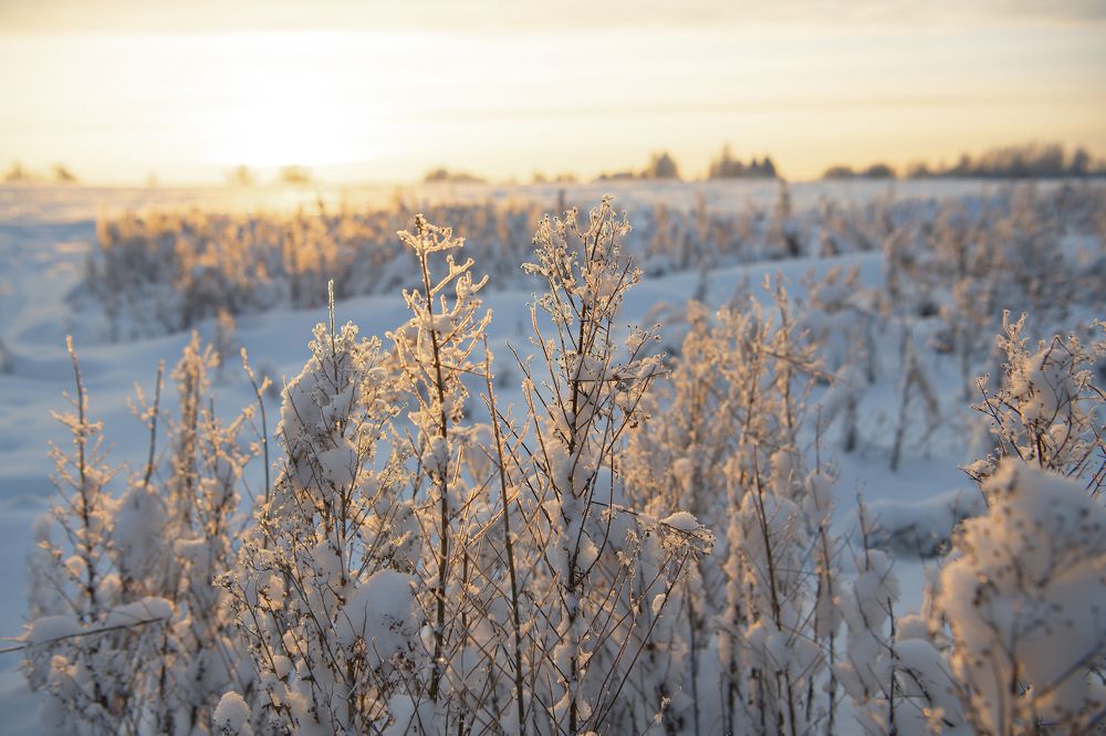 Фотография автора Екатерина Лапаева