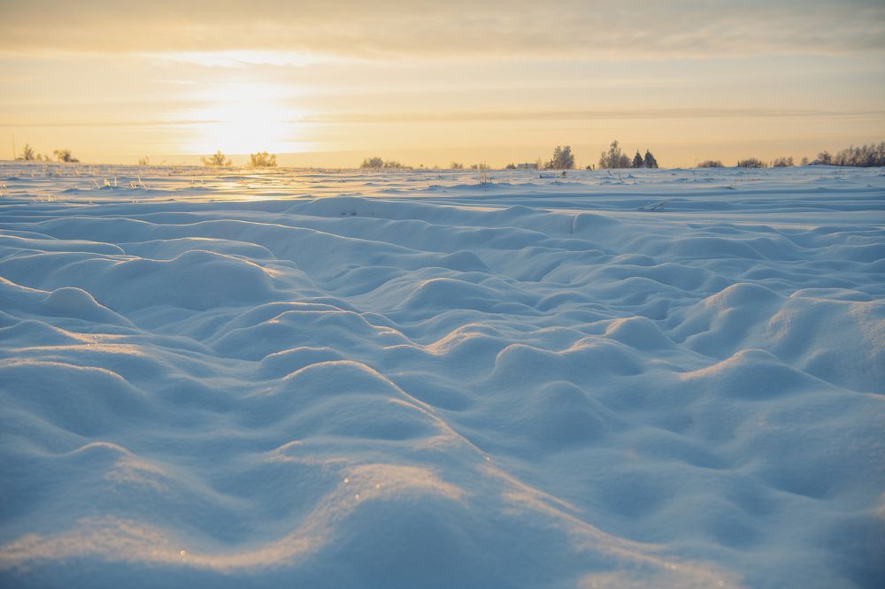 Фотография автора Екатерина Лапаева