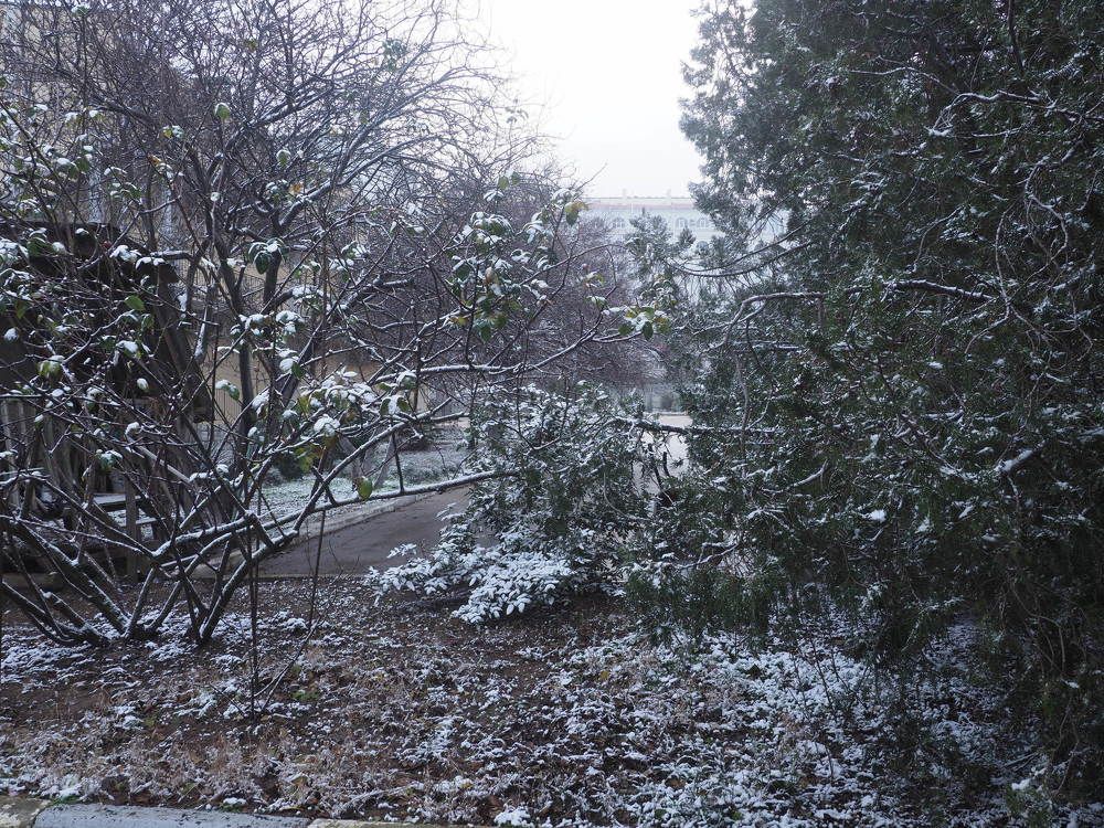 Photograph by Сергей Борисов