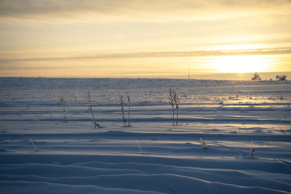 Фотография автора Екатерина Лапаева