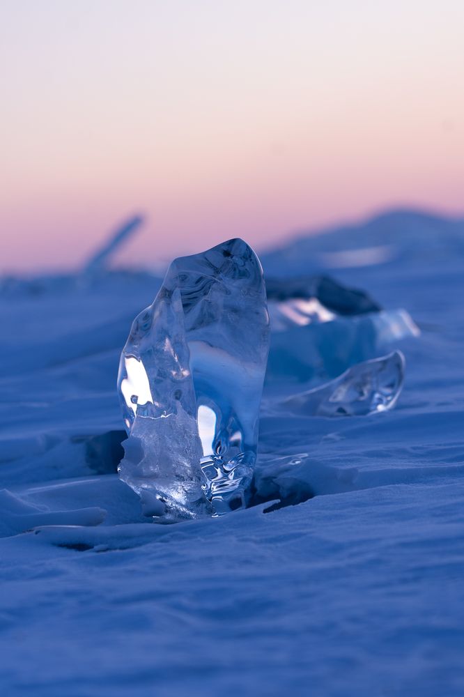 Фотография автора Земскова Дарья