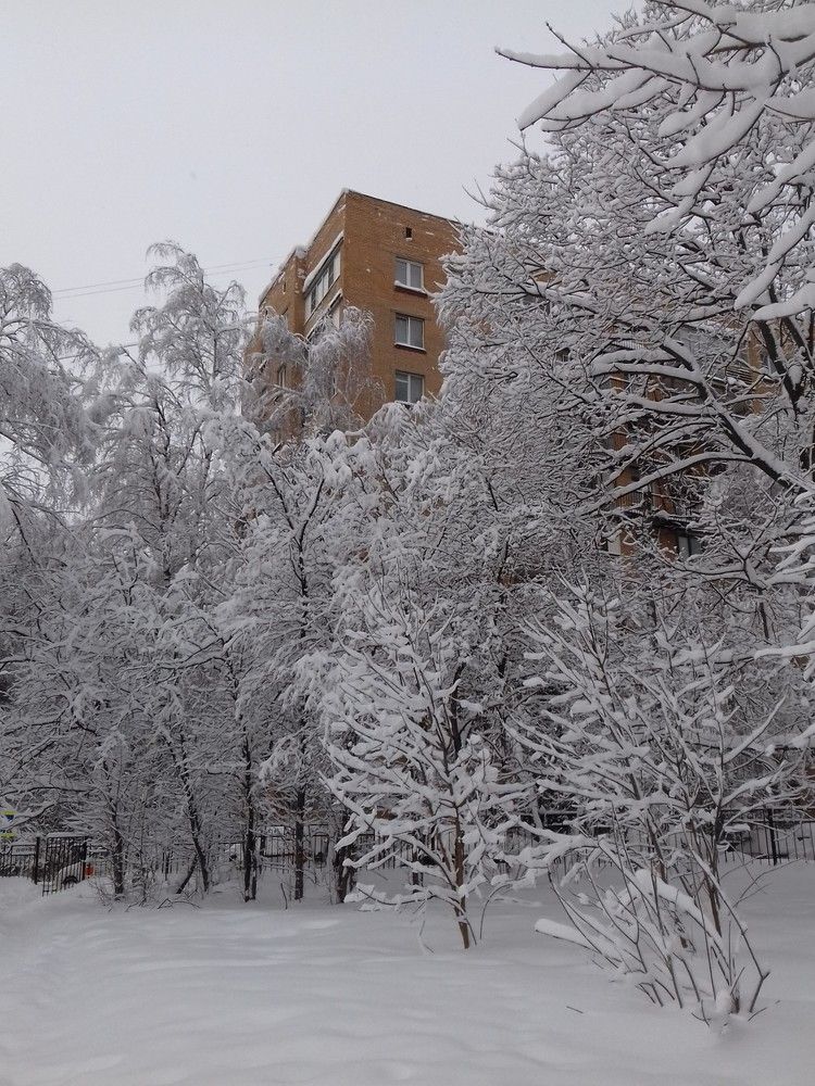Фотография автора Владислава Андрюнина