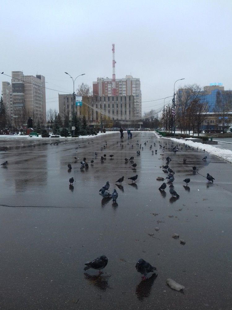 Фотография автора Владислава Андрюнина