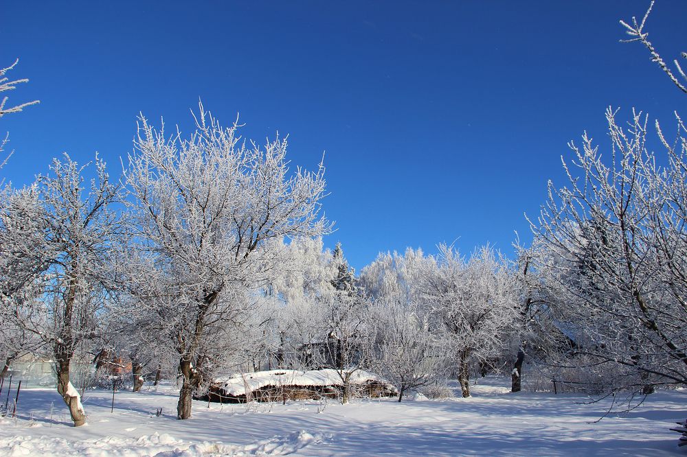Photograph by Мария Некрасова