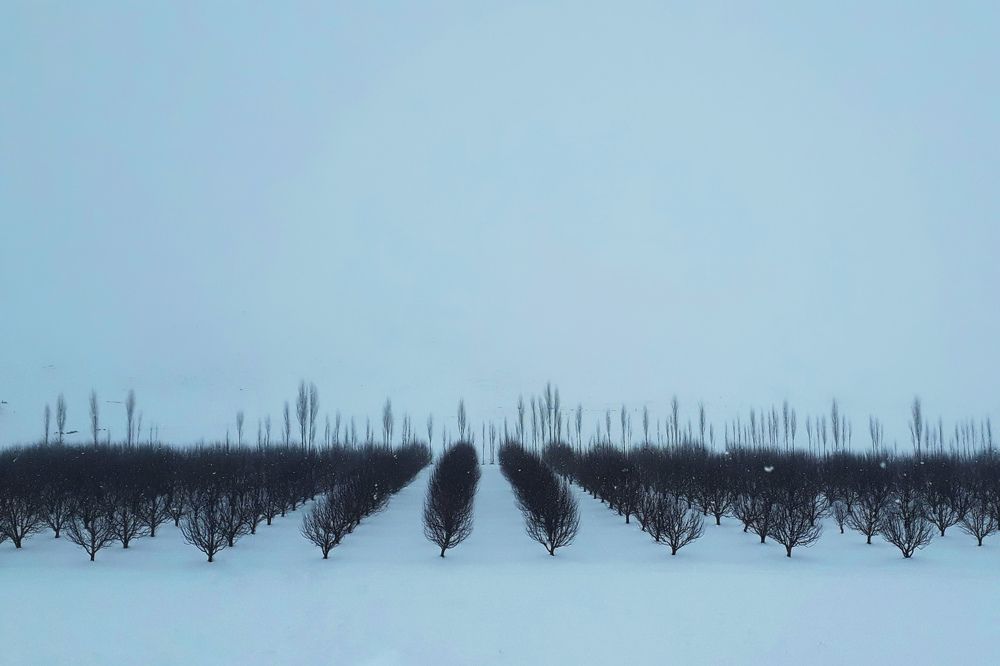 Фотография автора Alipour mohammad