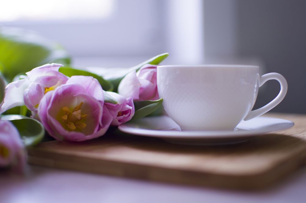 Фотография автора Наталия Шарова