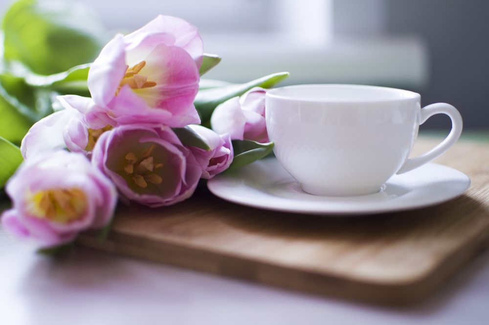 Фотография автора Наталия Шарова