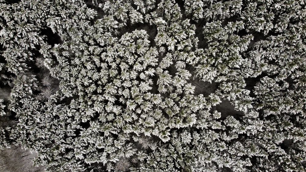 Photograph by Алексей Резниченко