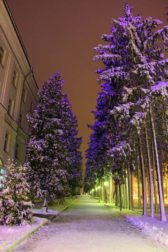 Photograph by Мария Некрасова