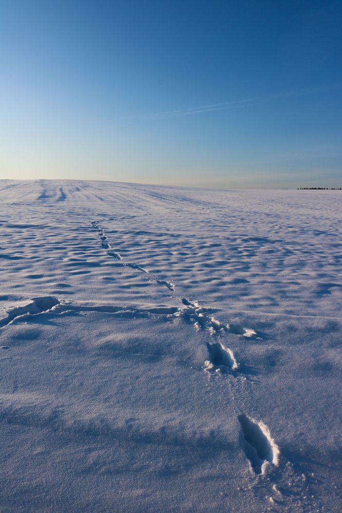 Photograph by Алексей Резниченко