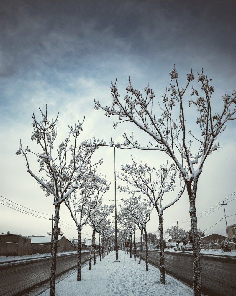 Photograph by saman al sulivany