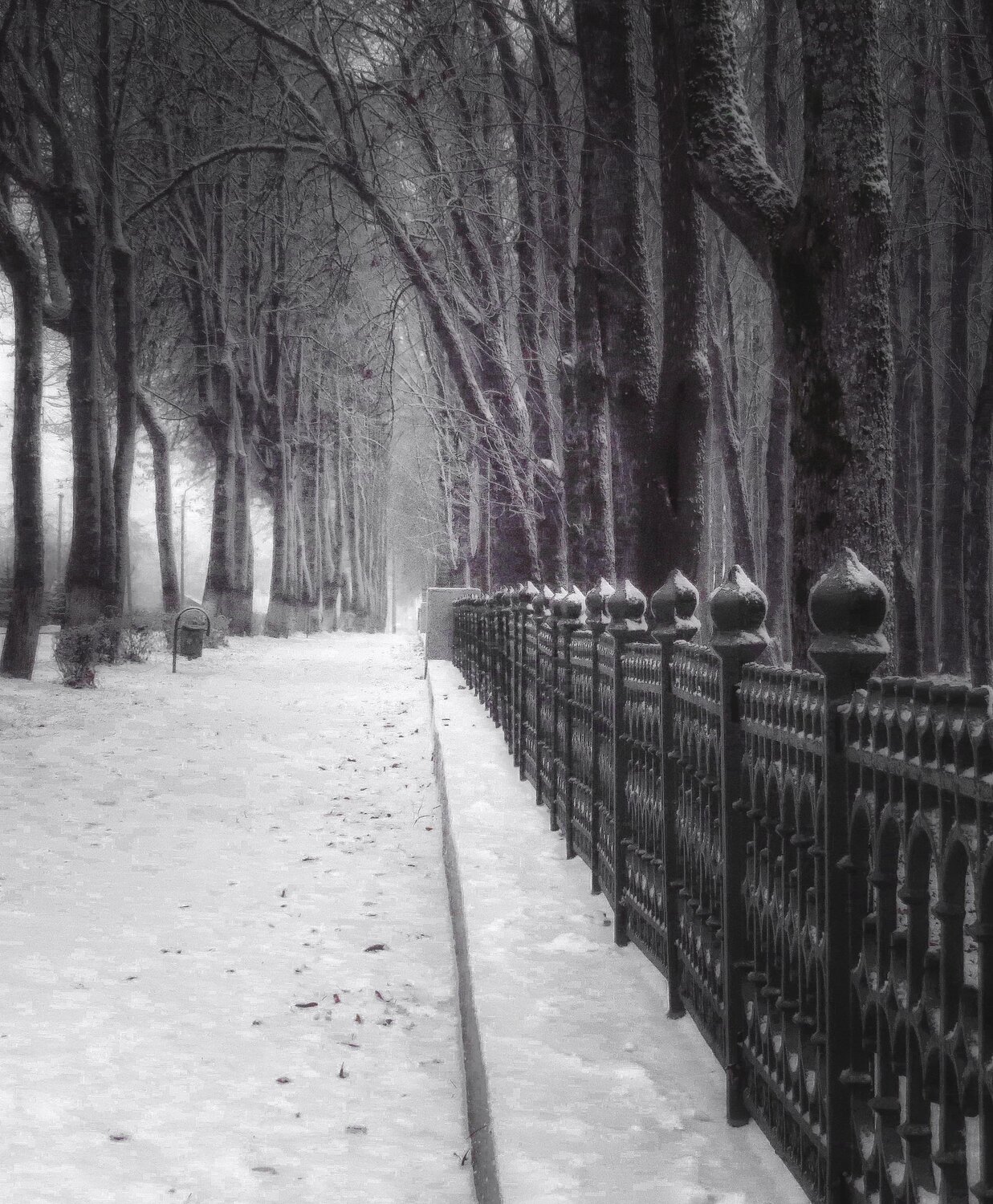 Photo #5938611