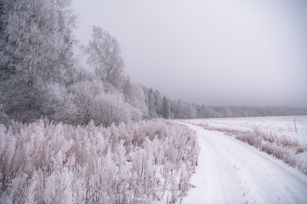 Фотография автора Екатерина Лапаева