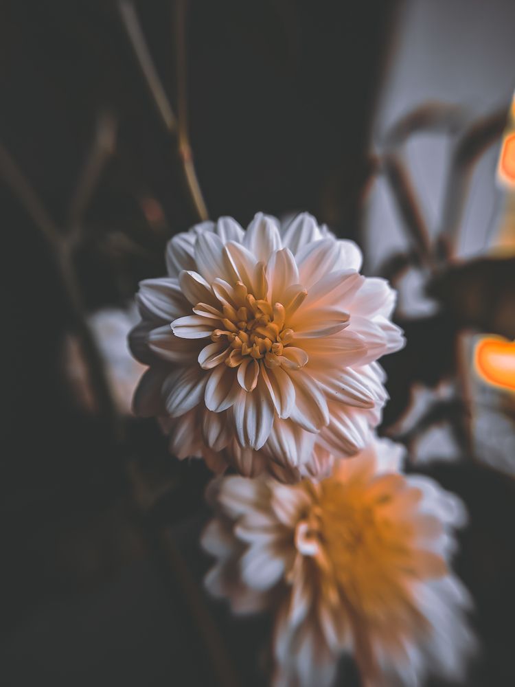 Photograph by Sai Kandula