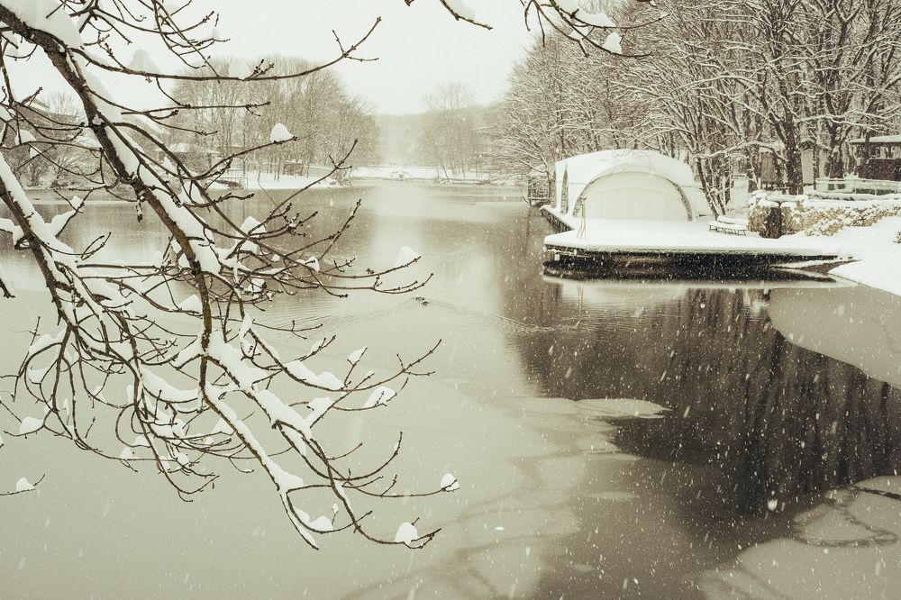 Photograph by Екатерина Кваша