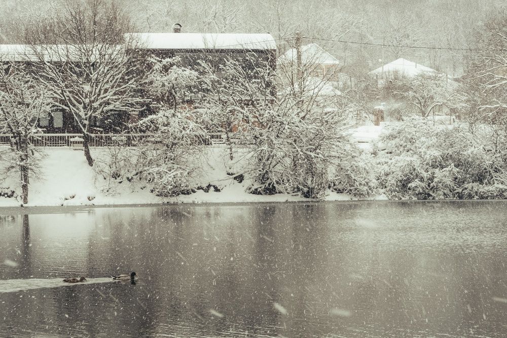 Photograph by Екатерина Кваша