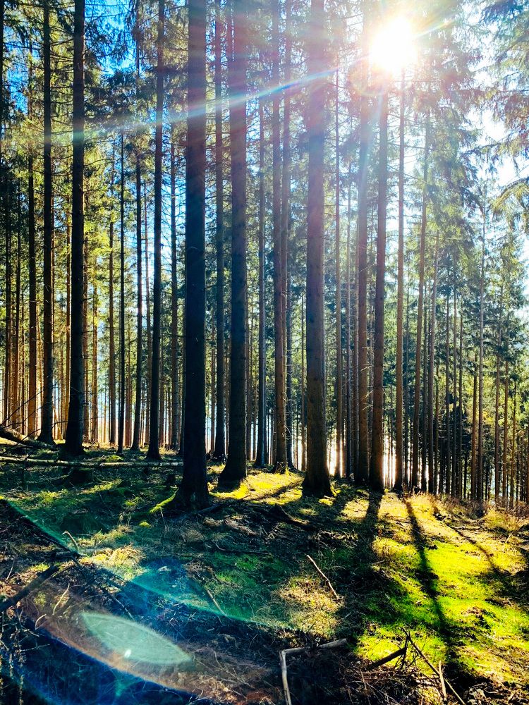 Photograph by Irina Chekanov