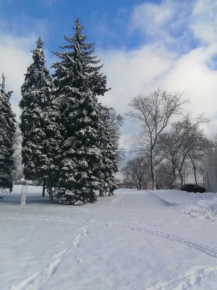 Photograph by Мария Попова