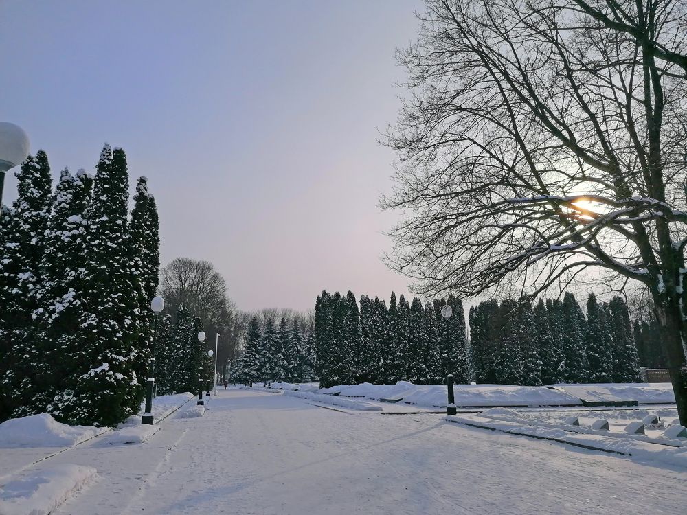 Photograph by Мария Попова