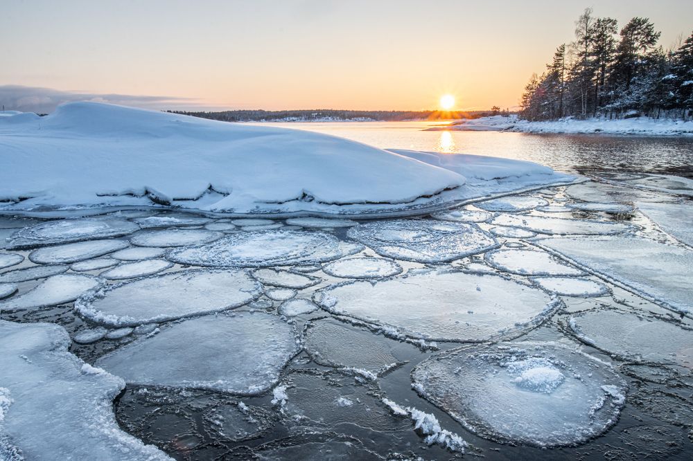 Photograph by Svetlana Dorokhova