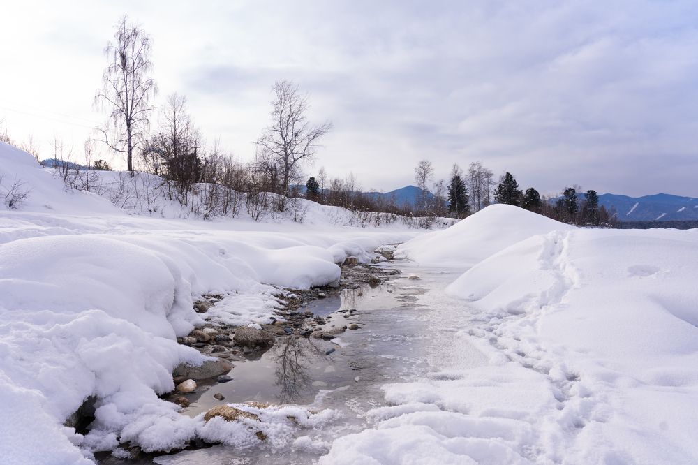 Фотография автора Земскова Дарья