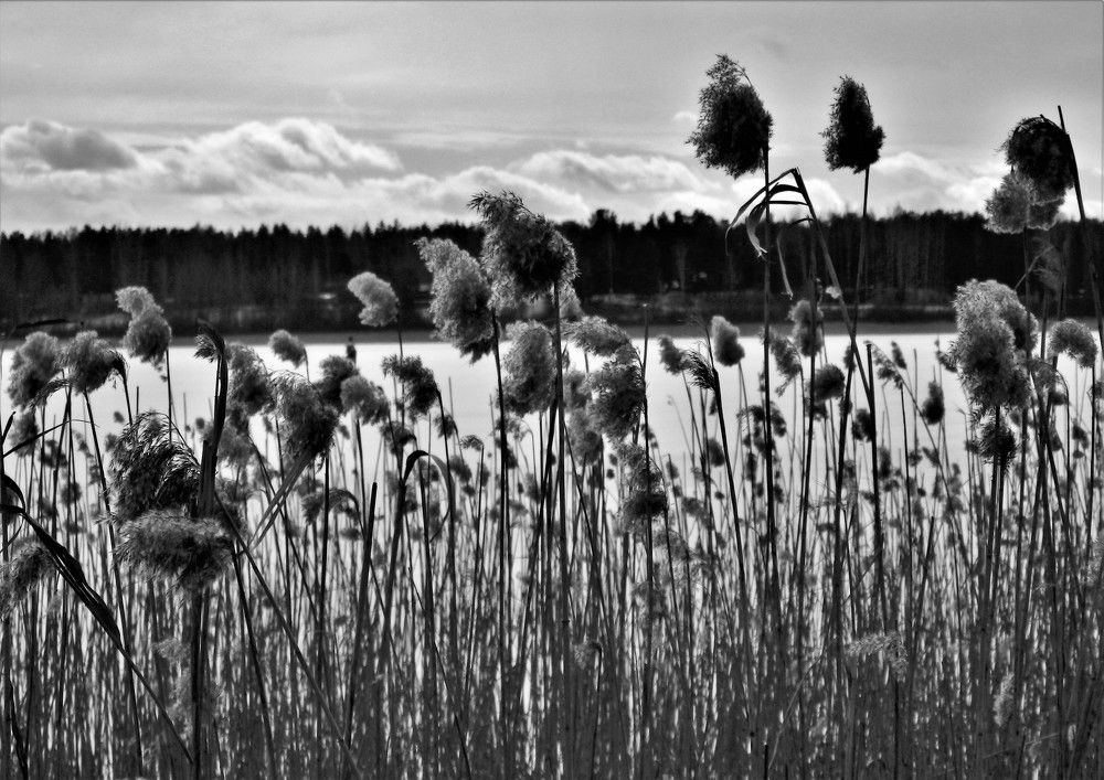 Фотография автора Tiia Vissak