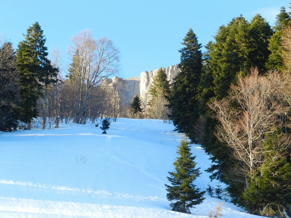 Photograph by Katerina Akalifa