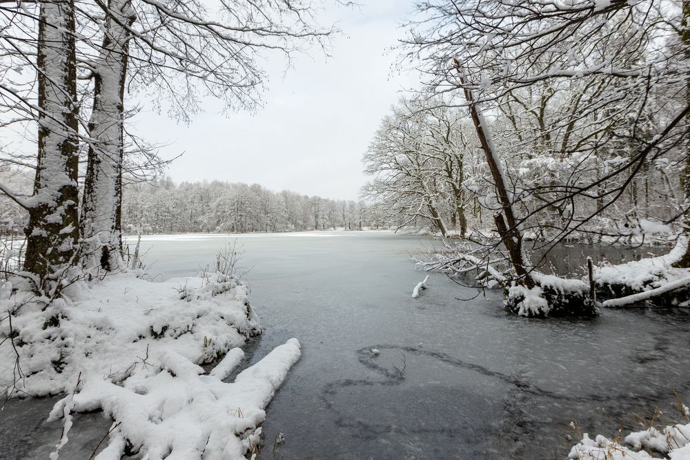 Photograph by Наталья Брюхненко