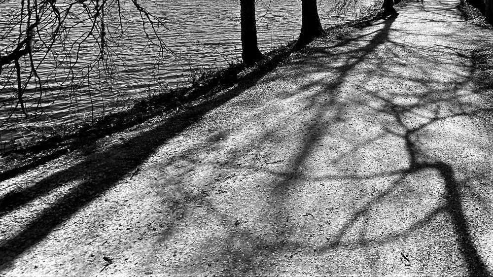 Фотография автора Tiia Vissak