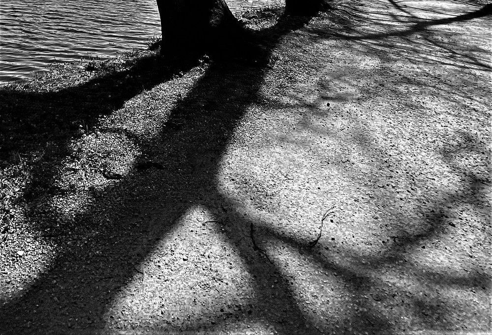 Фотография автора Tiia Vissak