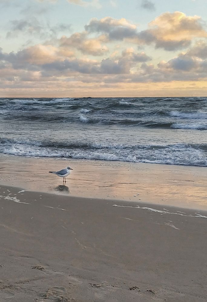 Photograph by Edita Rumsiene