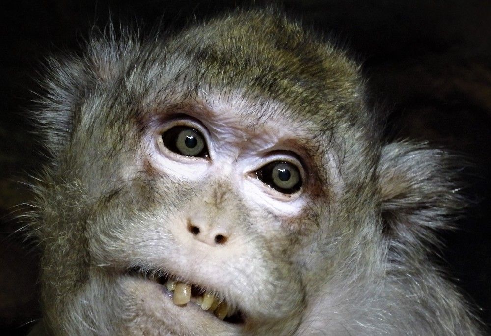 Фотография автора Tiia Vissak