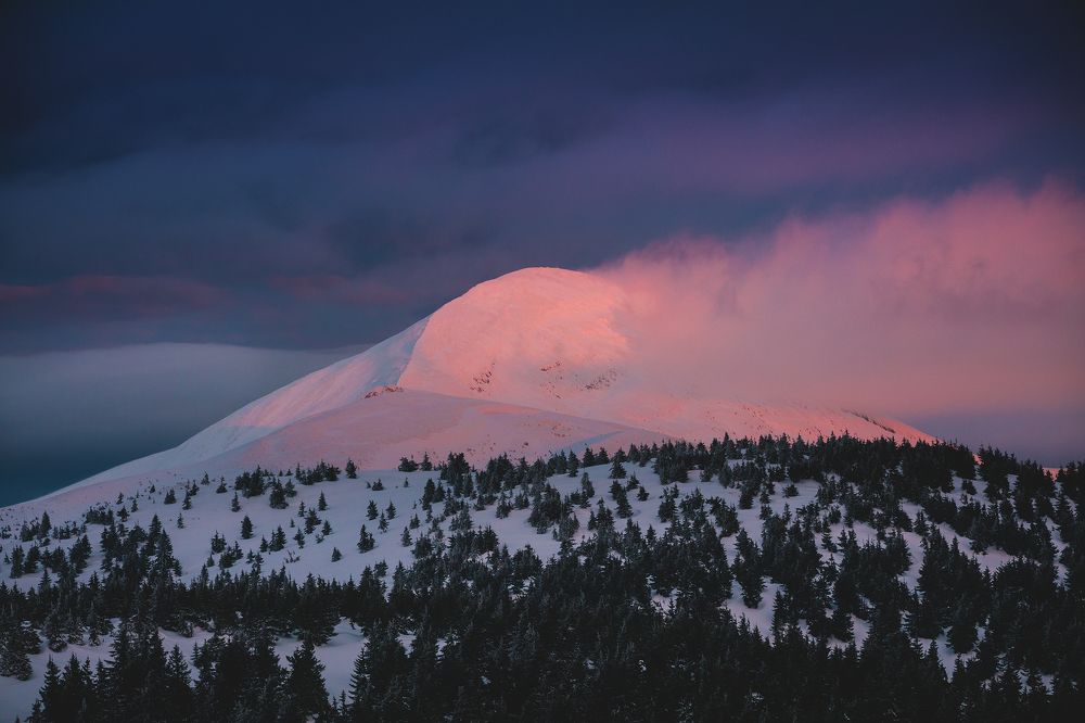 Photograph by Дмитрий Иванов