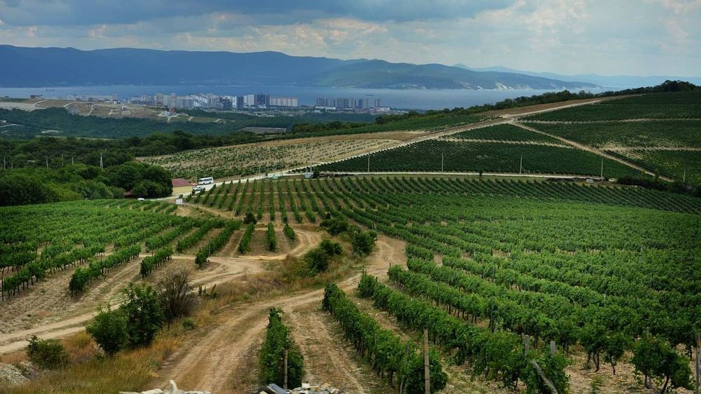 Photograph by Александр Усенко