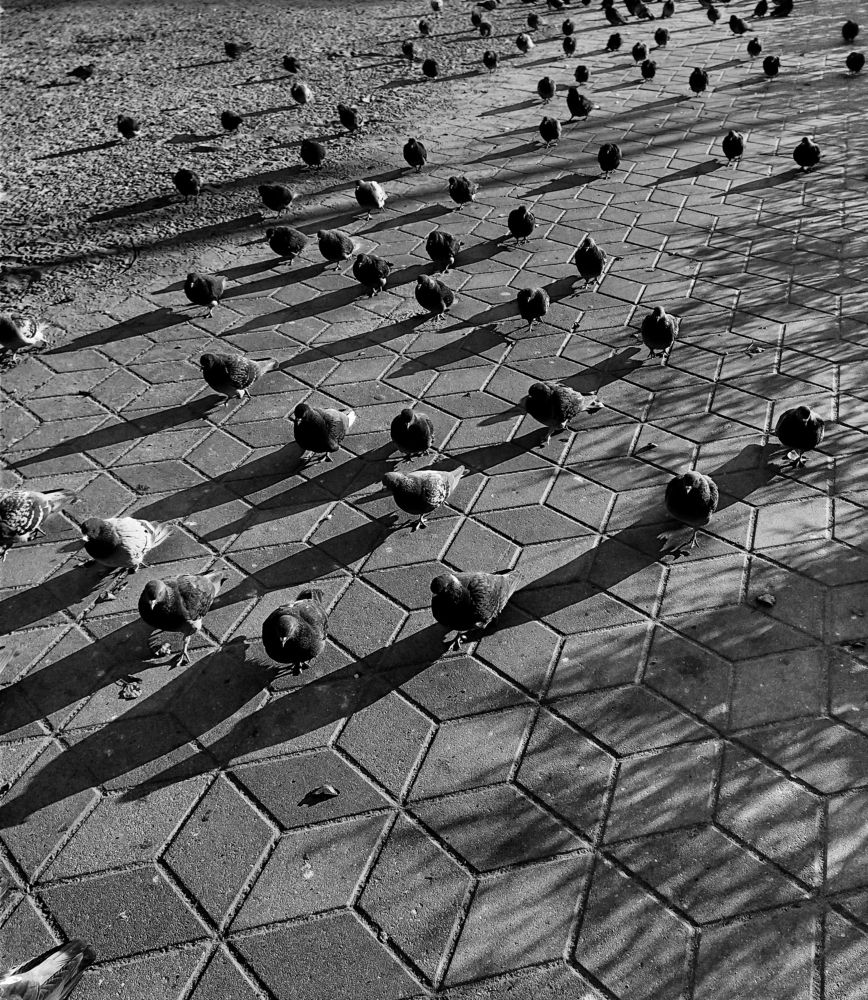 Армия наступает...