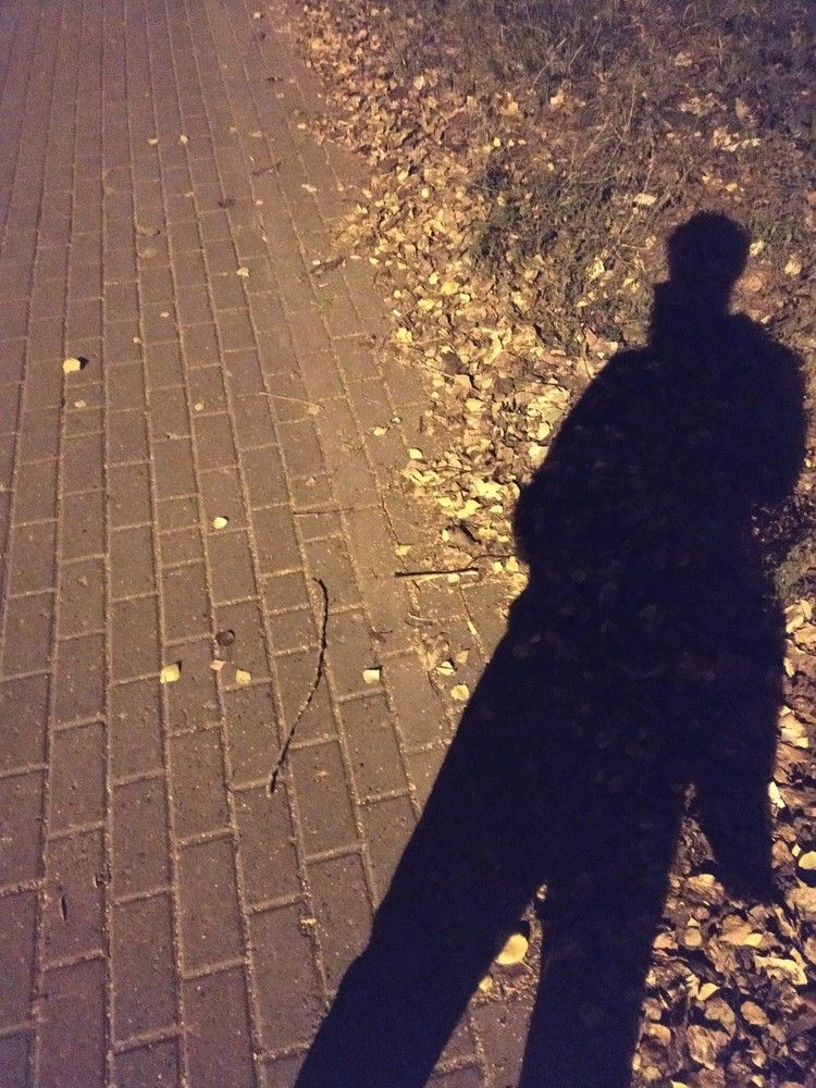 Мобильная фотография: тень