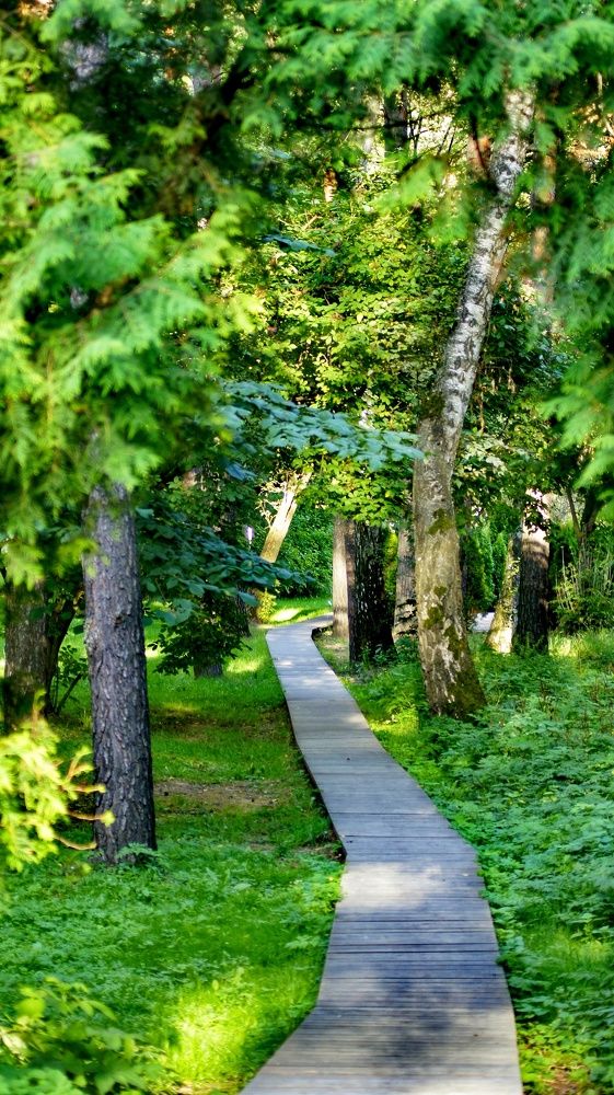 Фотография автора Slim Soyadi