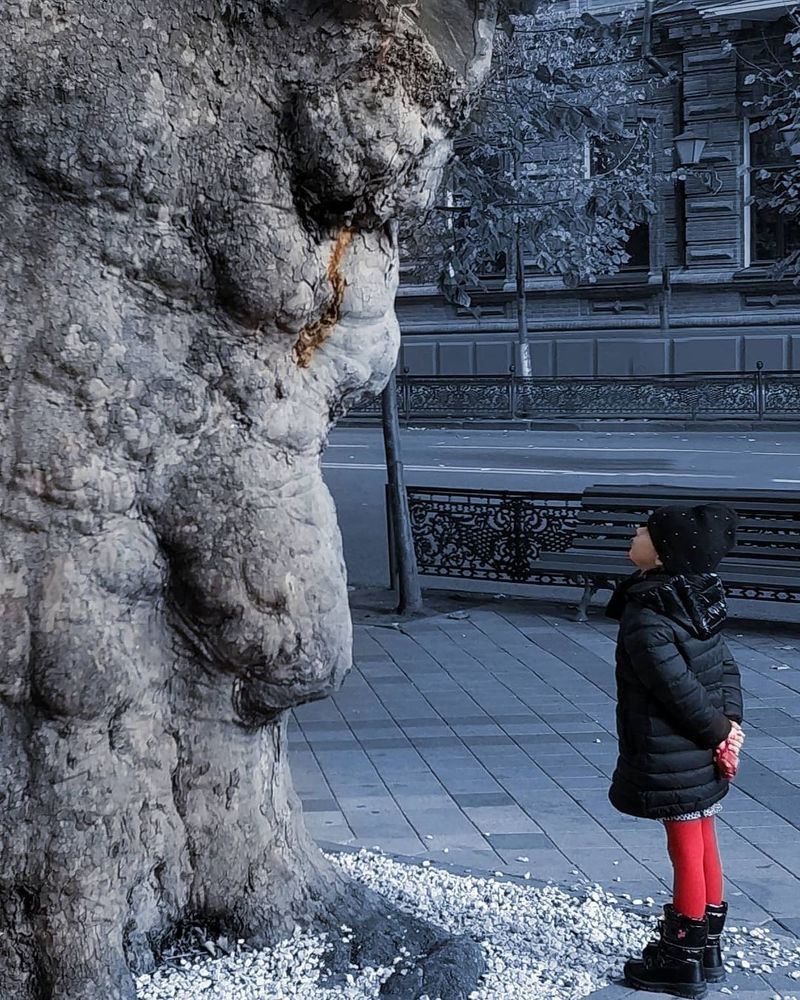 Photograph by Александр Усенко