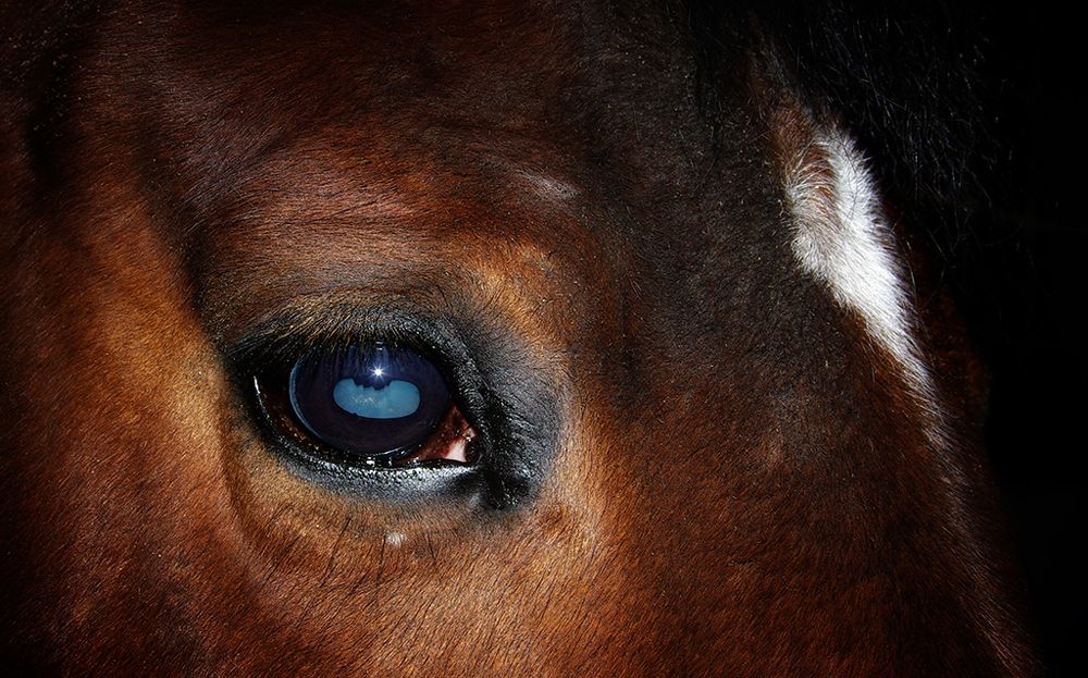 Photograph by Lubica Kremenova