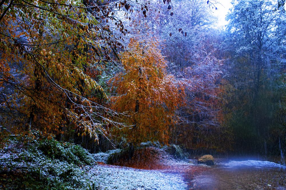 Фотография автора Milad Falahi