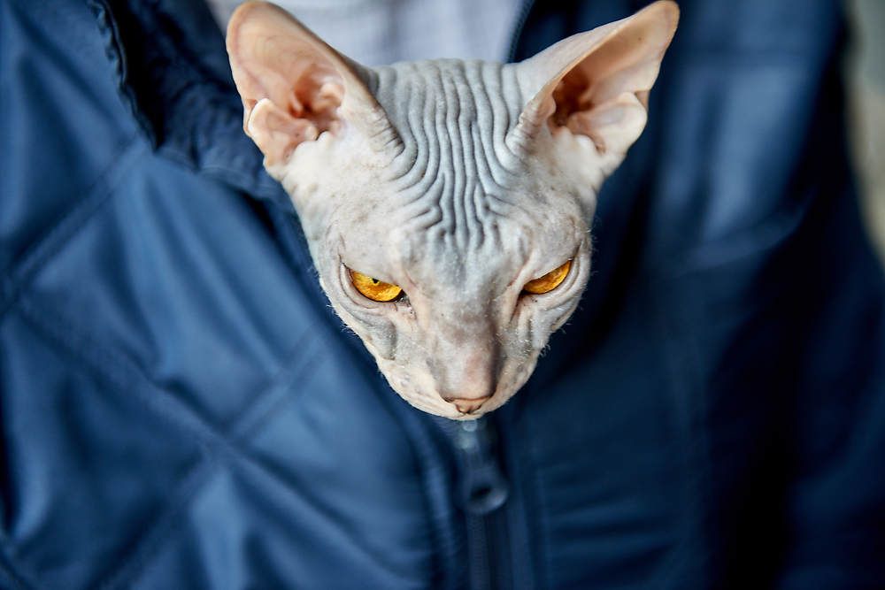 Photograph by Владимир Малевич