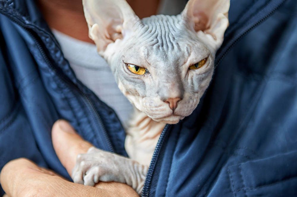 Photograph by Владимир Малевич