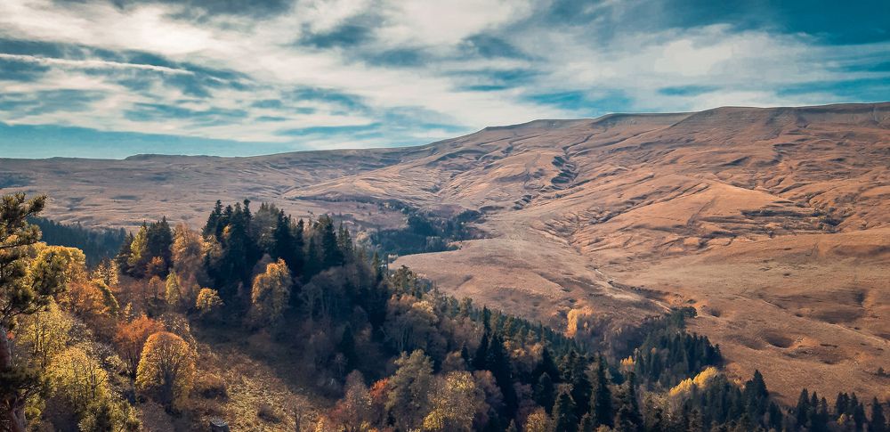 Photograph by Ольга Рубан