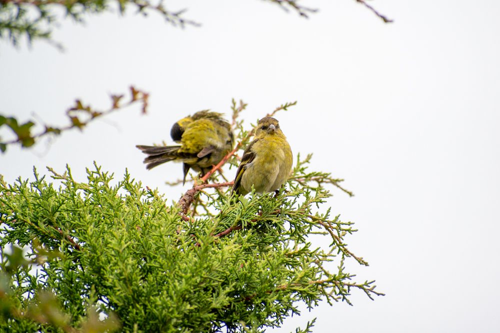 Photograph by David Vivallo