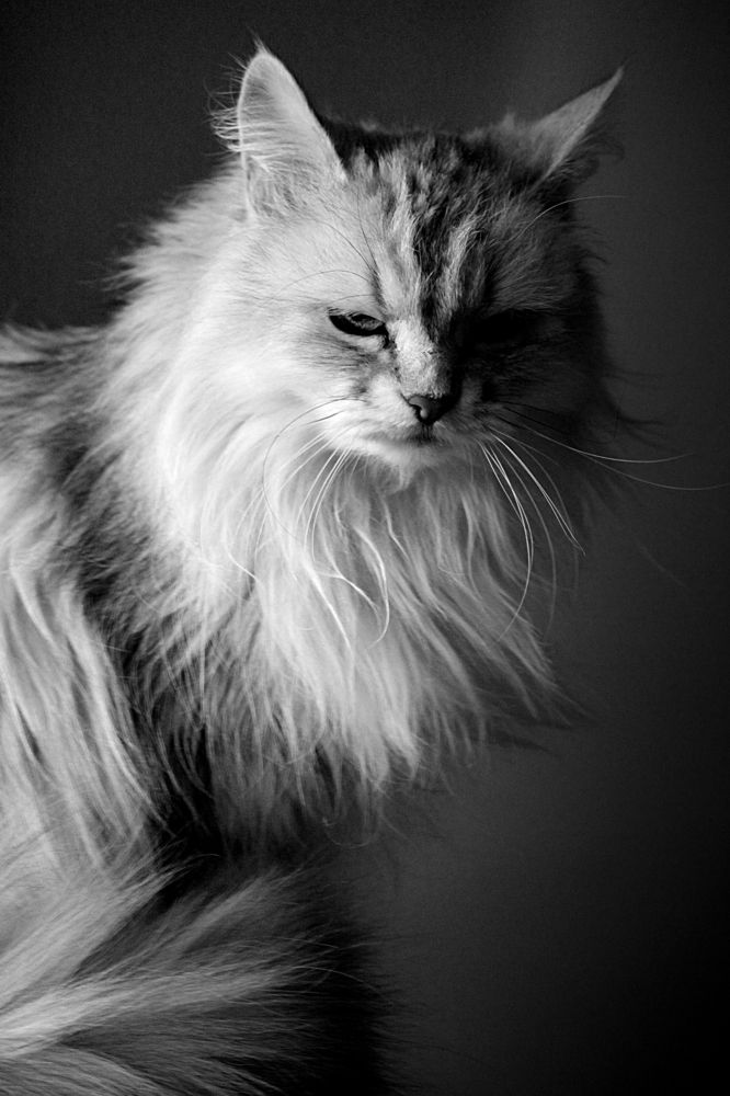 Photograph by Игорь Быков