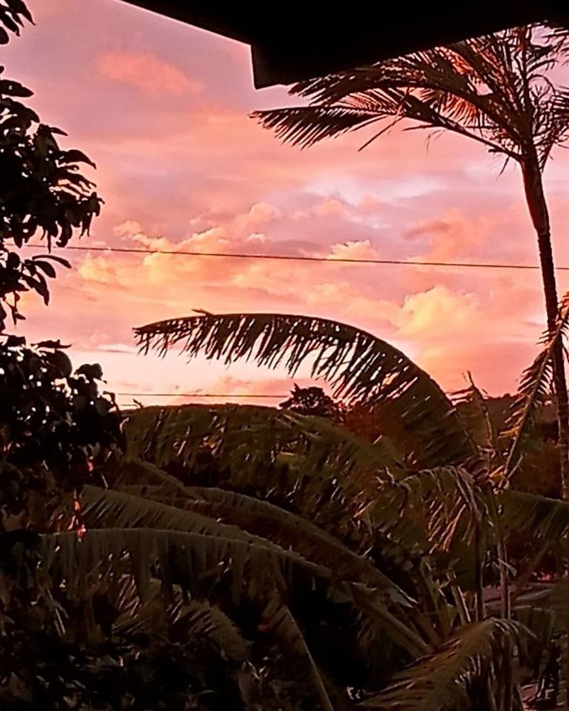 Фотография автора Jenny María Quirós Jiménez