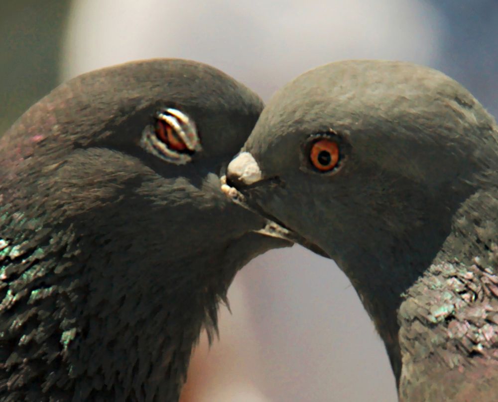 Photograph by AlexSa